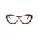 Lens Optical