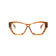 Lens Optical