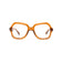Lens Optical